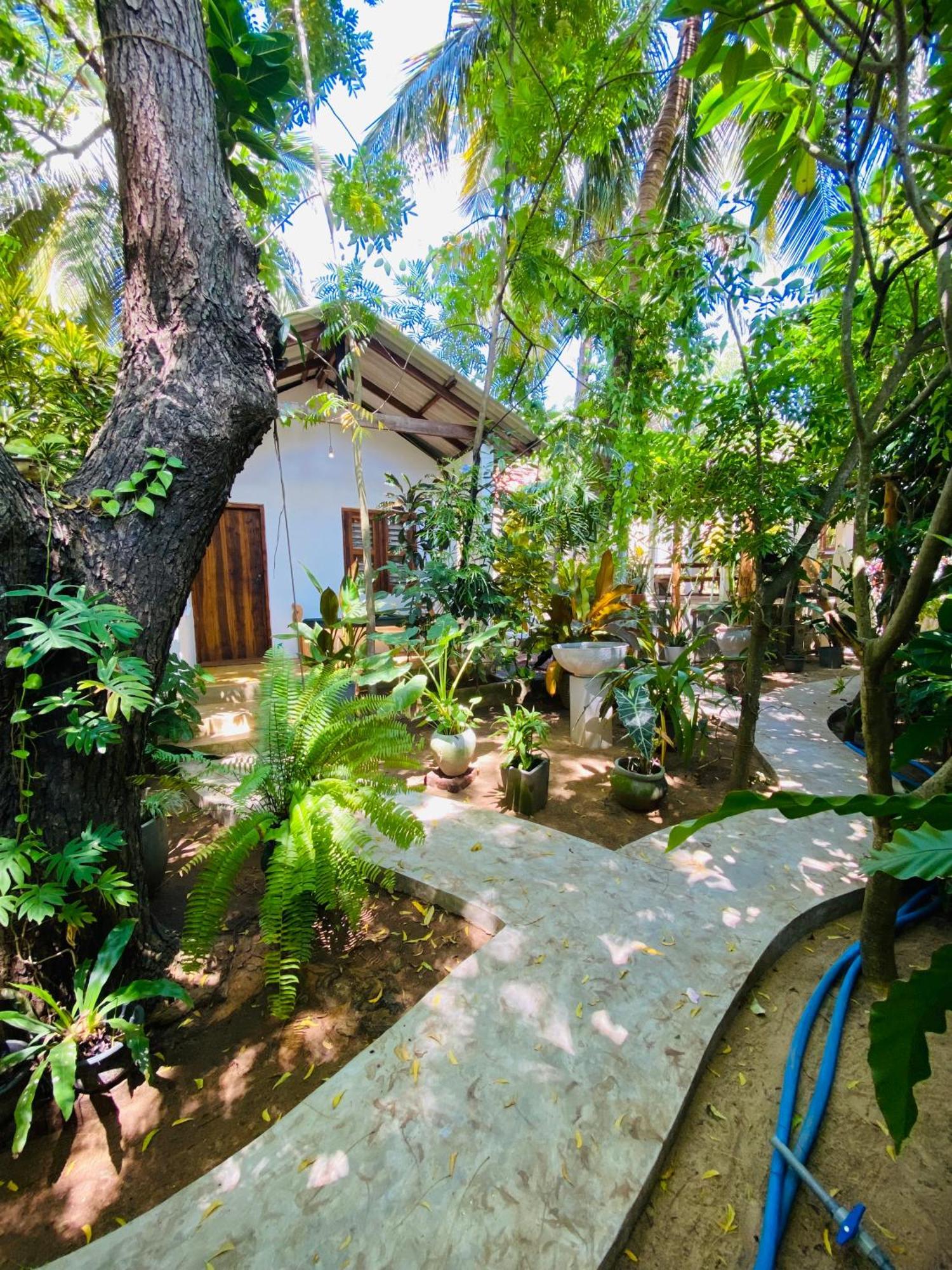Hotel Starfish Cabbana Arugam Bay Exterior foto